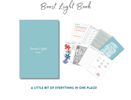 A picture of the front cover and a few inside pages of the Boost Light Book